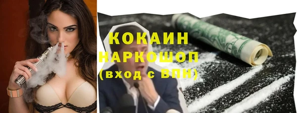 мдпв Михайловск