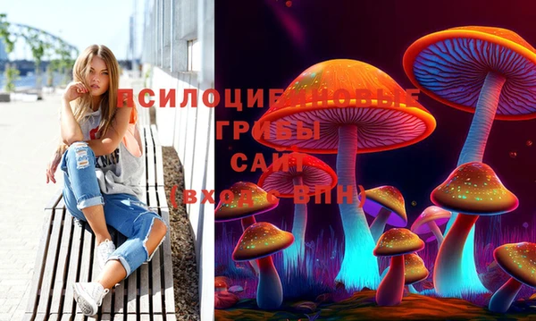 шишки Михайлов