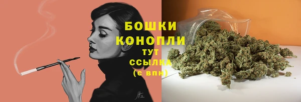 мдпв Михайловск